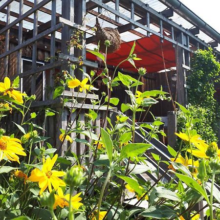 Villa Holzhaus mit grüner Aussicht zum Erholen Burgheim Exterior foto