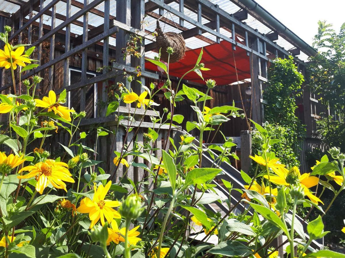 Villa Holzhaus mit grüner Aussicht zum Erholen Burgheim Exterior foto